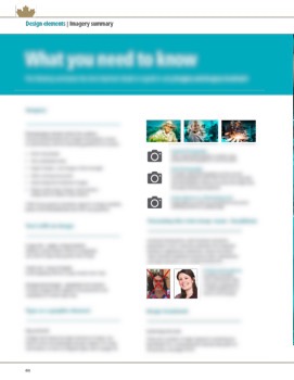 CWB_Graphic_Standands_Final-28