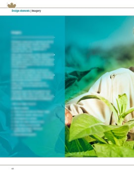 CWB_Graphic_Standands_Final-30