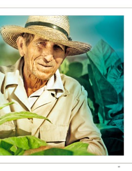 CWB_Graphic_Standands_Final-31