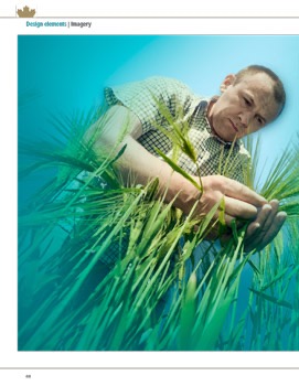 CWB_Graphic_Standands_Final-36