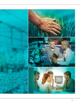 CWB_Graphic_Standands_Final-41